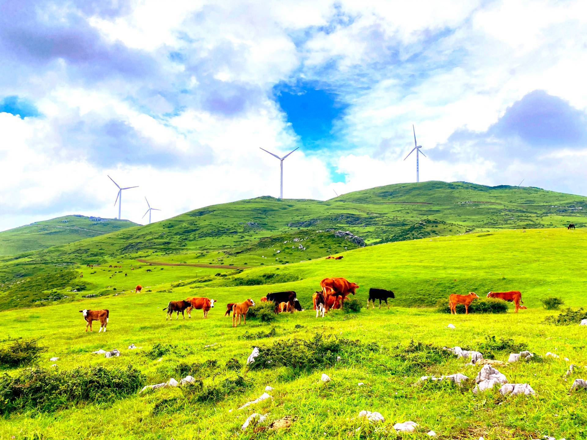 贵州最大的风电场——威宁百草坪乌江源风电场贵州新能源与其他产业