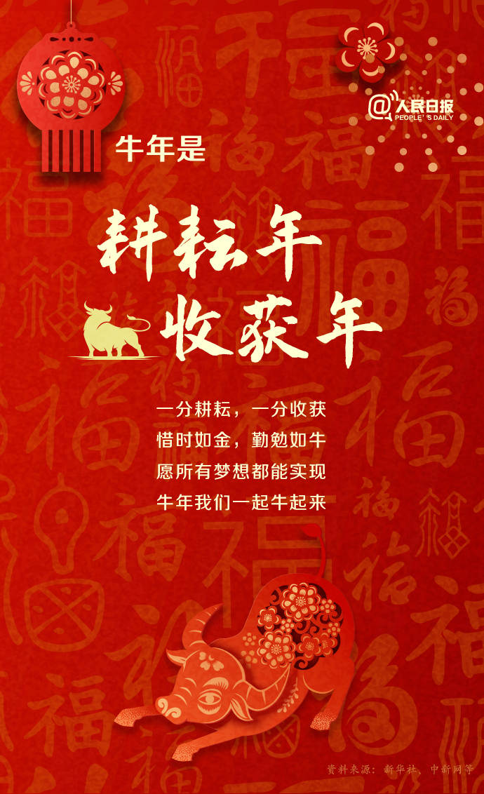 牛年只有354天关于牛年还有哪些知识点