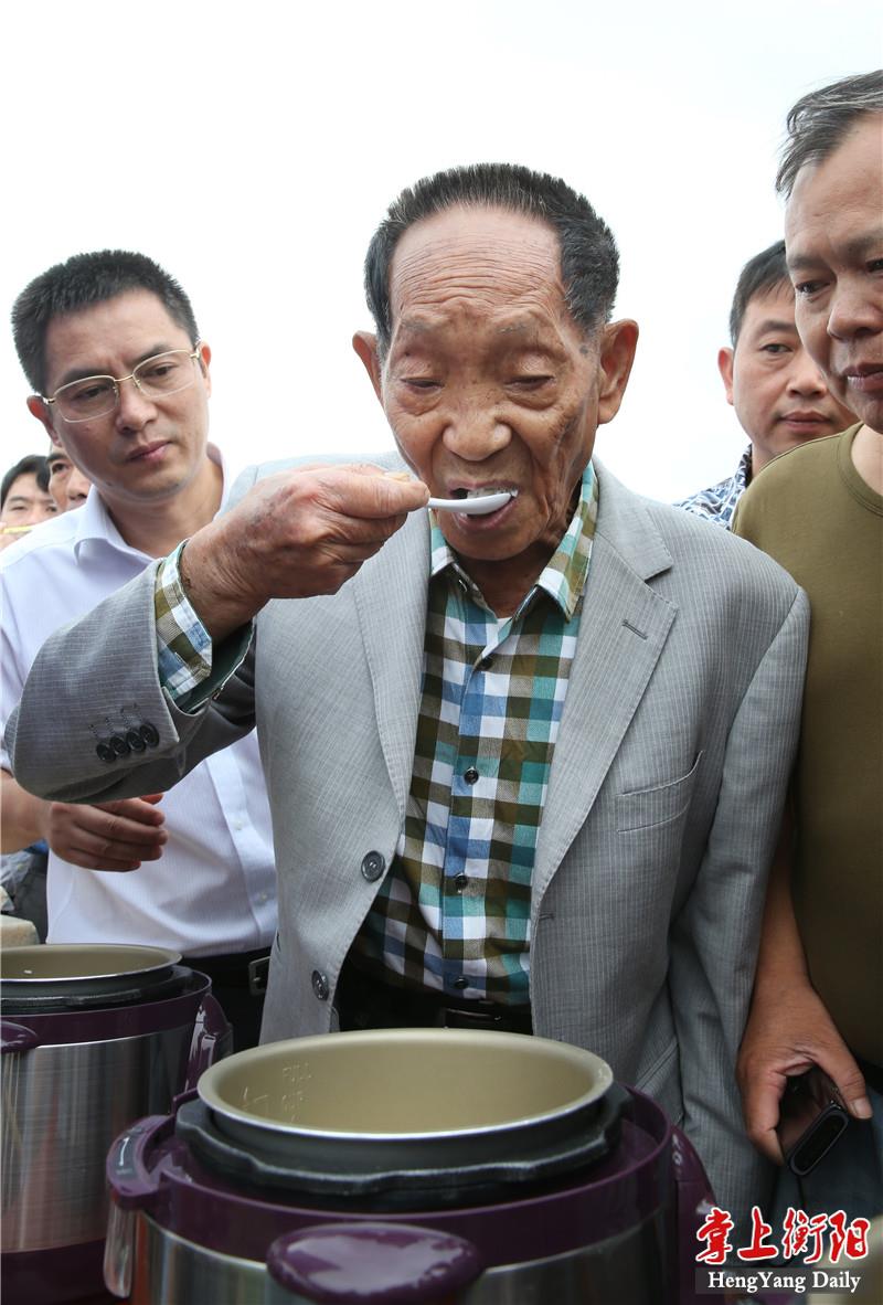 煮出的米饭后中国工程院院士袁隆平五个高档优质稻米新品种隆晶优1号