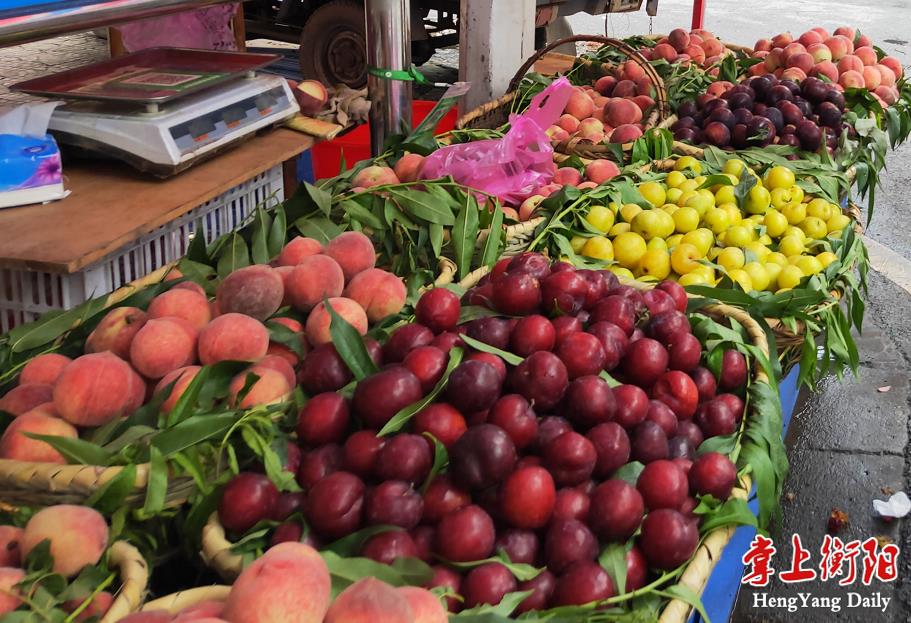 掌上衡阳客户端6月4日讯(记者胡亚华)初夏时节,水果市场变换"新面孔"