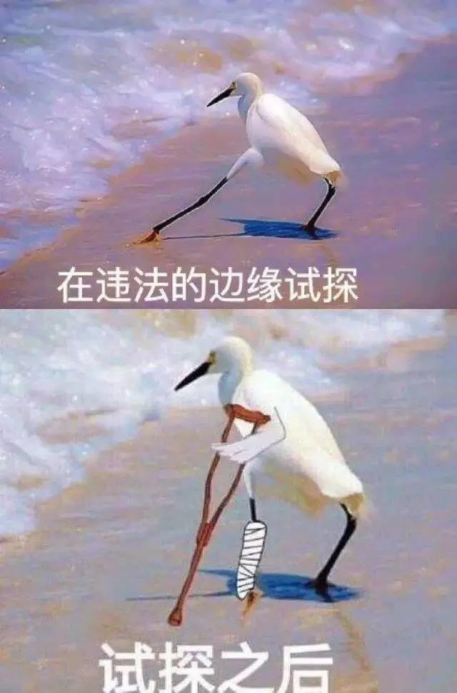 希望大家不要在法律的边缘试探0734--82082210734--8867090监督举报