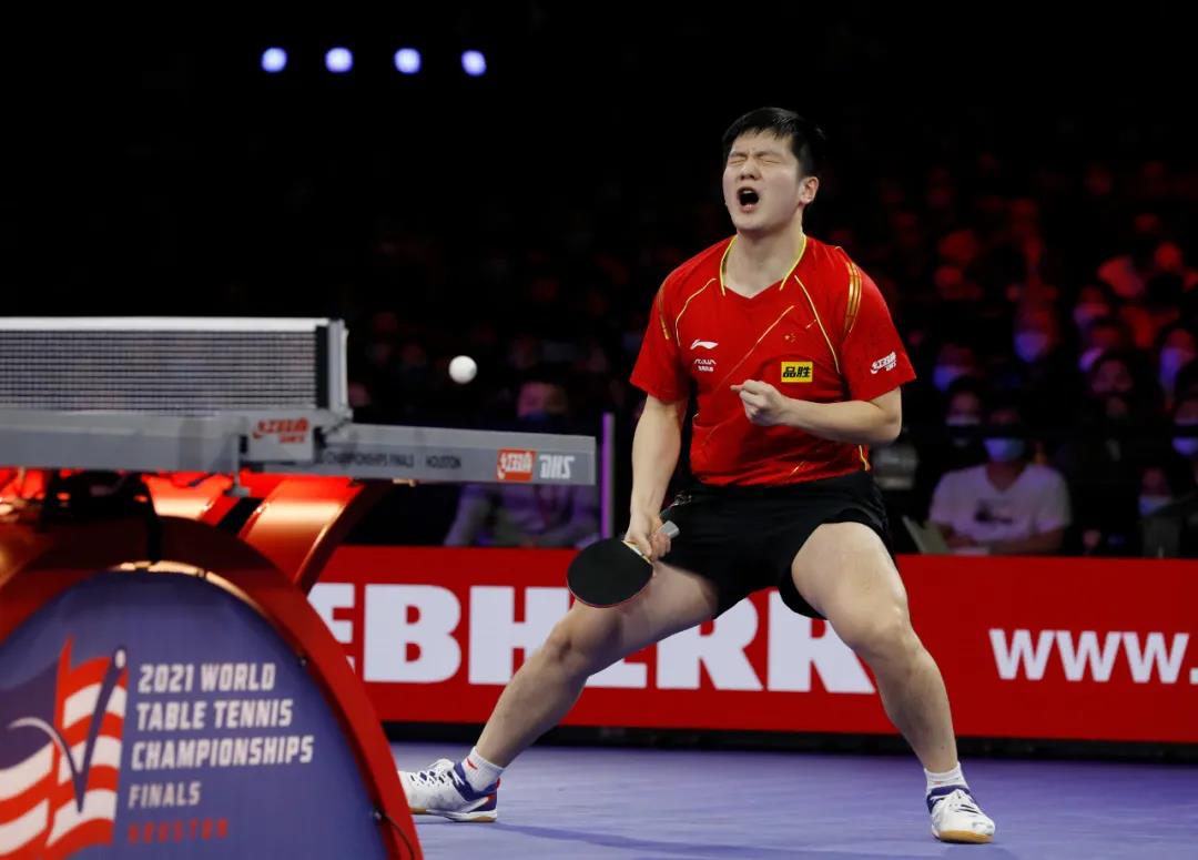 骄傲祁东籍乒乓国手樊振东世乒赛男单夺冠