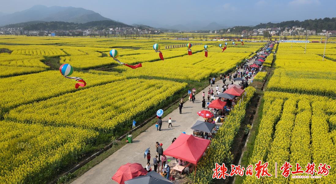 茶陵农业