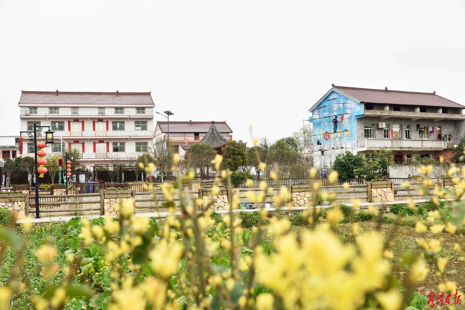 余江区:绘就美丽乡村-鹰潭频道-大江网(中国江西网)