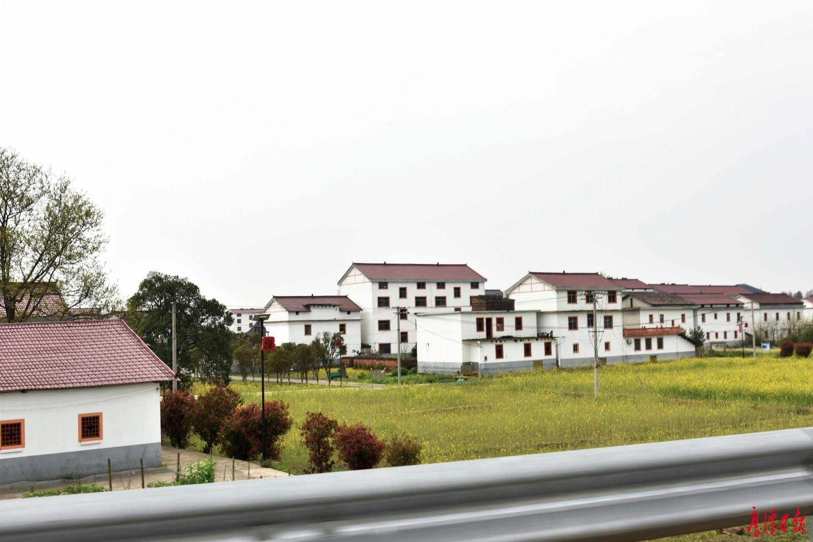 余江区:绘就美丽乡村-鹰潭频道-手机江西网